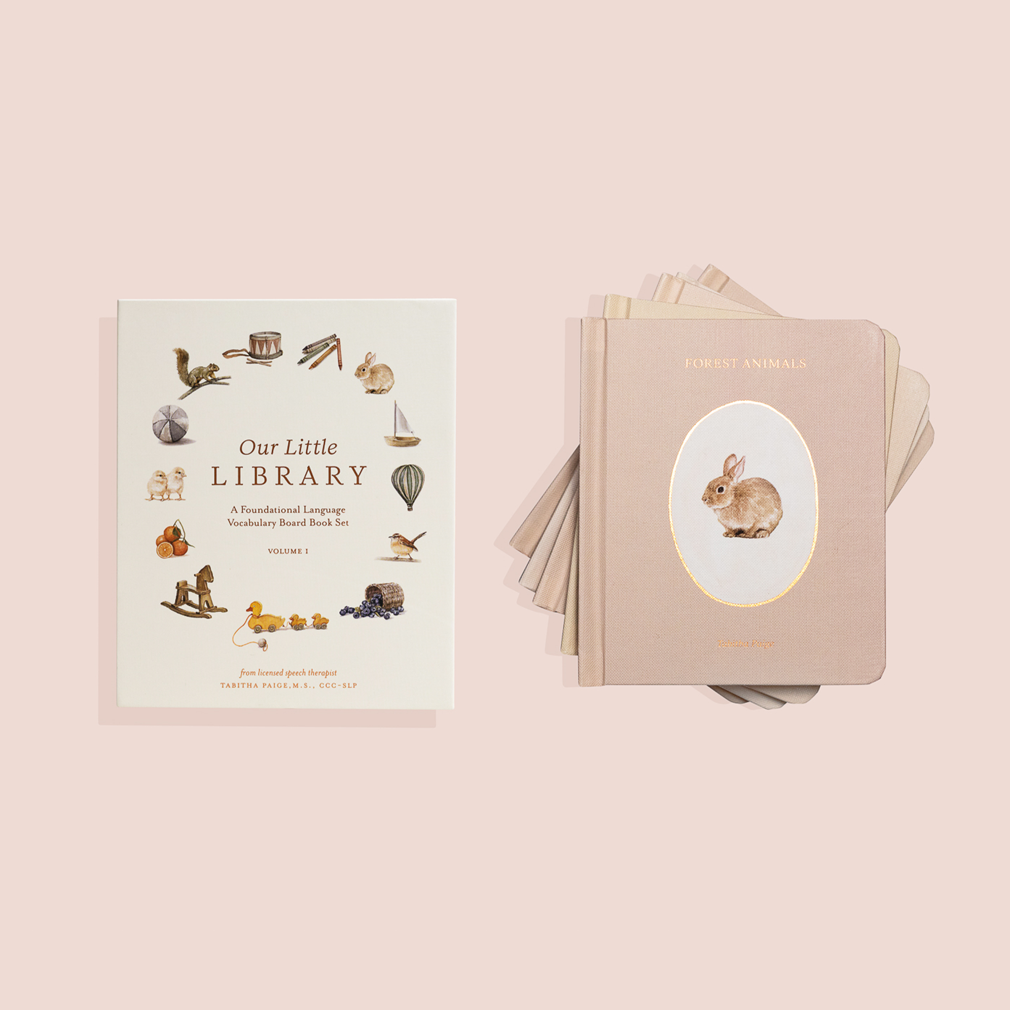 Our Little Library Book Set